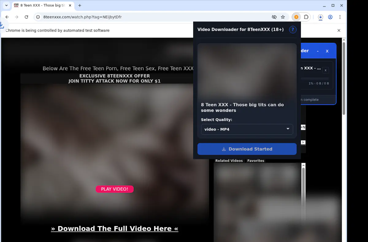 8teenxxx18 Video Downloader browser extension screenshot 2