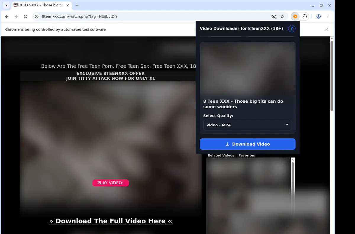 8teenxxx18 Video Downloader browser extension screenshot 3